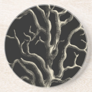 Porta-copos Preto e Coral-bravo