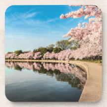 porta copos primavera