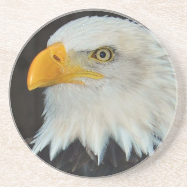 Porta copos principal de Eagle (Frente)