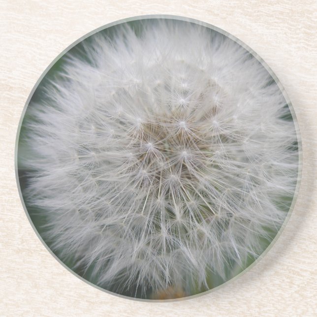Porta-copos Propagando Portas copos Dandelion Flor (Frente)