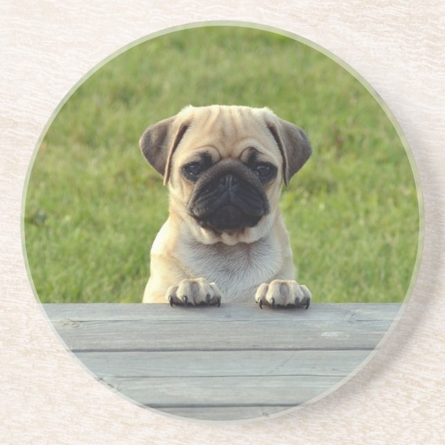 Porta-copos Pug Puppy Cute Photo (Frente)