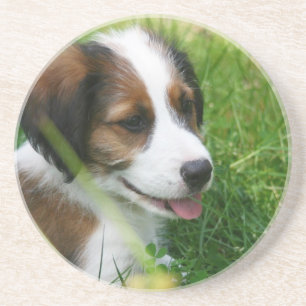 Porta-copos Puppy