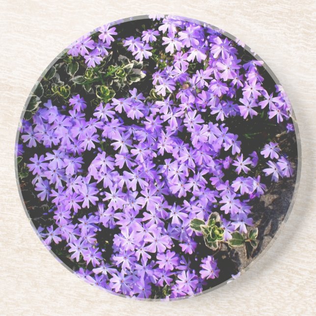 porta copos 'Purple Springtime' (Frente)