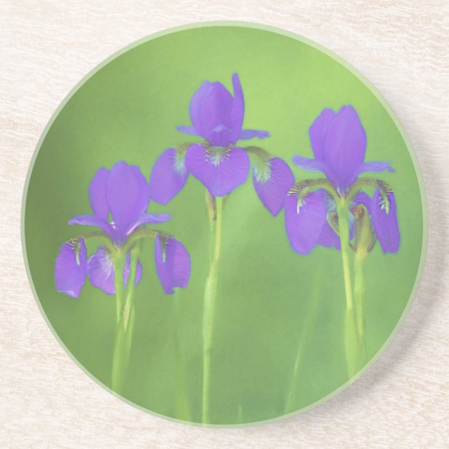 Porta-copos Púrpura Iris - Arte Flor Original (Frente)