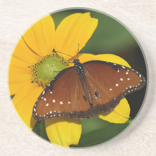 Porta-copos Rainha Borboleta na flor amarela