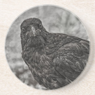Porta-copos Raven P9239