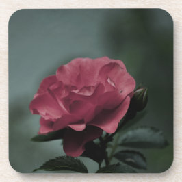 Porta copos Real Blush Cork