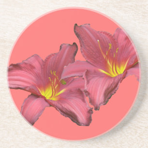 Porta copos Red Daylily