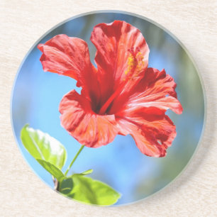 Porta-copos Red Hibiscus
