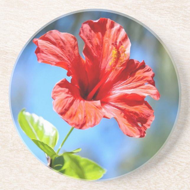 Porta-copos Red Hibiscus (Frente)