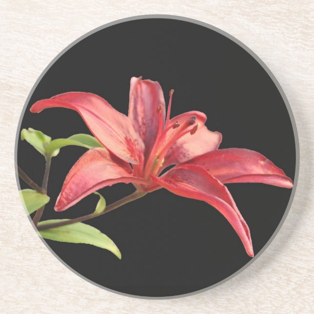 Porta copos Red Lily Sandstone (Frente)