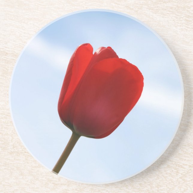 Porta copos Red Tulip (Frente)