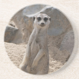 Porta-copos Retrato de Vida Selvagem de Suricata Curioso