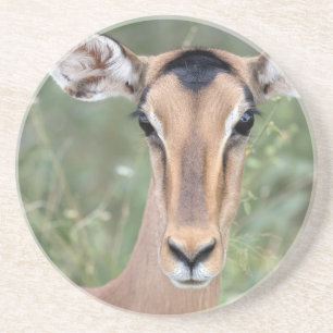 Porta-copos Retrato Impala