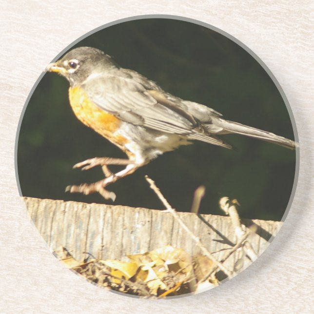 Porta-copos Robin (Frente)