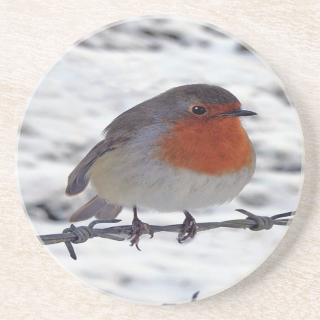 Porta-copos Robin Redbreast (Frente)