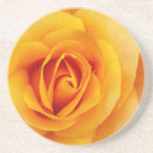 Porta-copos rosa amarela floração