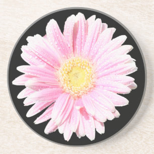 Porta copos Rosa Gerbera Daisy Sandstone