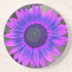 porta copos Rosa N Roxo