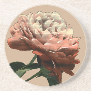 Porta-copos Rosa vermelha Ruby com Destaques Brancos