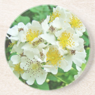 Porta-copos Rosas de flora branca