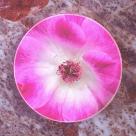 Porta-copos Rosas de Iceberg rosa