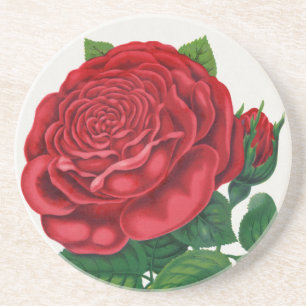 Porta-copos Rose Print Rochester Lithographing and Printing Co