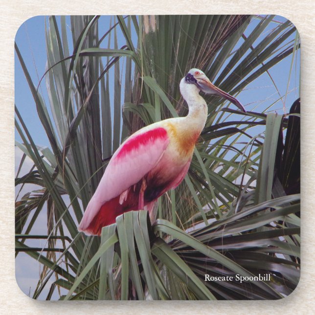 Porta copos Roseate Spoonbill (Frente)