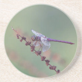 Porta-copos Róseato espumante