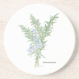 Porta-copos Rosemary Flor