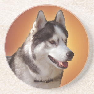 Porta copos Rouco Porta copos Rouco Malamute Cacho