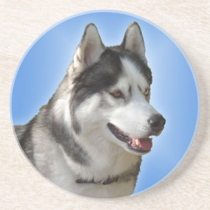 Porta copos Rouco Porta copos Rouco Malamute Cacho