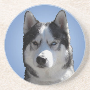 Porta copos Rouco Porta copos Rouco Malamute Cacho