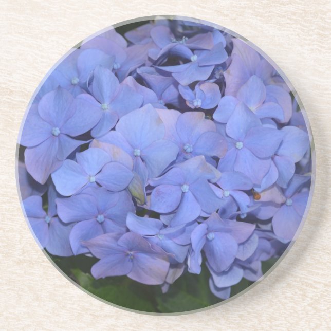 Porta-copos Roxo Roxo Hidrangea macrofilla (Frente)