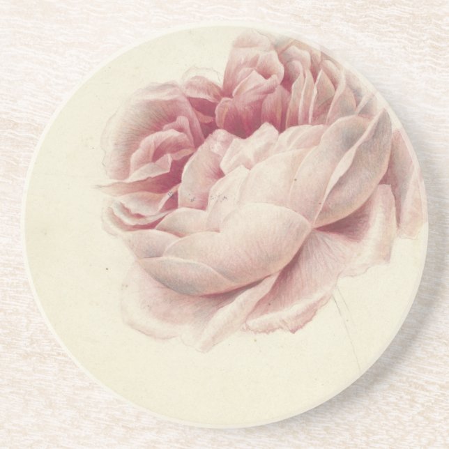 Porta-copos Roze Roos (1792) – Arte Botânica Antiga Atemporal (Frente)