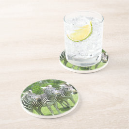 Porta-copos Safari Serenity: Três Zebras Lion Country Safari