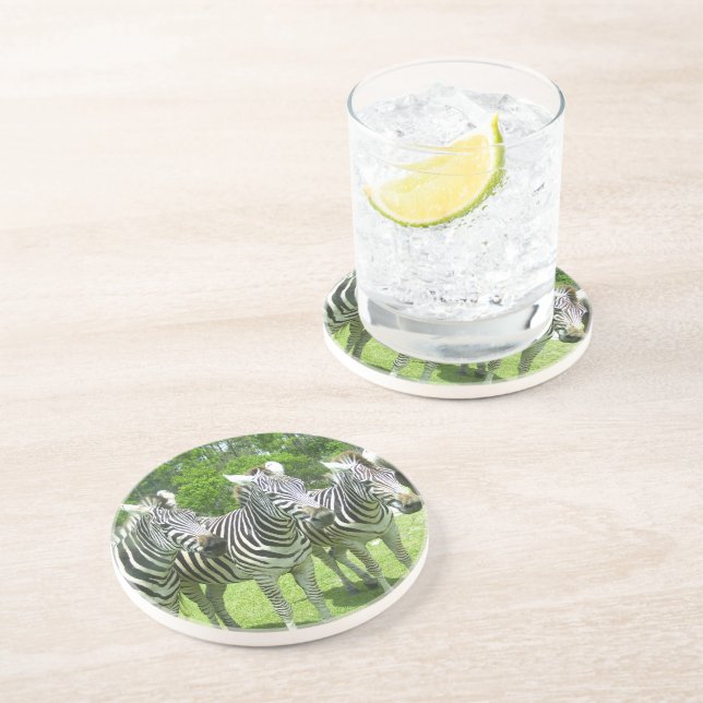 Porta-copos Safari Serenity: Três Zebras Lion Country Safari (Lateral)