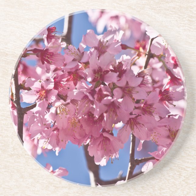 Porta-copos Sakura Cherry Blossoms Red Stars (Frente)