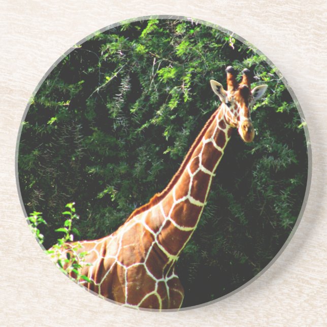 Porta-copos Samburu Giraffe (Frente)