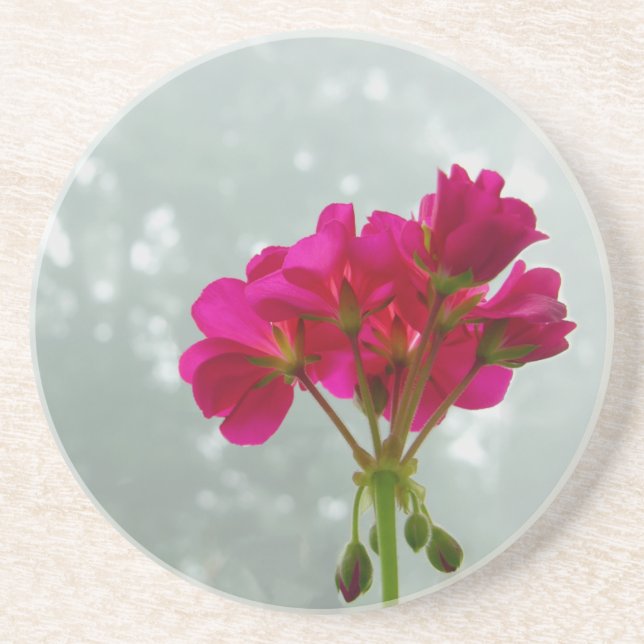 Porta copos Sandstone, Fotografia de Geranium rosa (Frente)