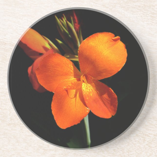 Porta copos Sandstone Orquídea Dazzling (Frente)