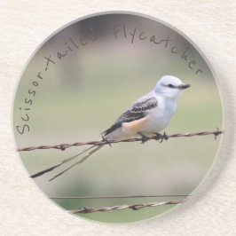 porta copos Scissor-atada do Flycatcher