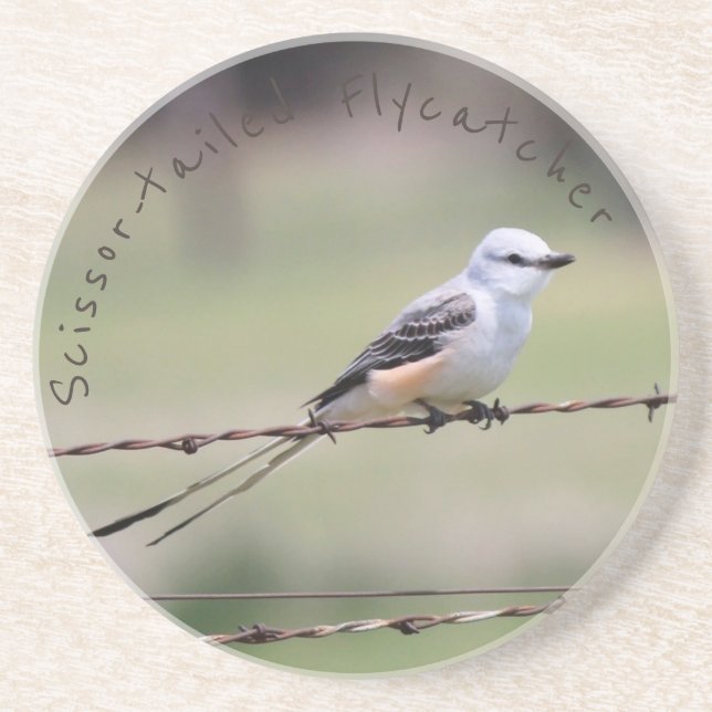 porta copos Scissor-atada do Flycatcher (Frente)