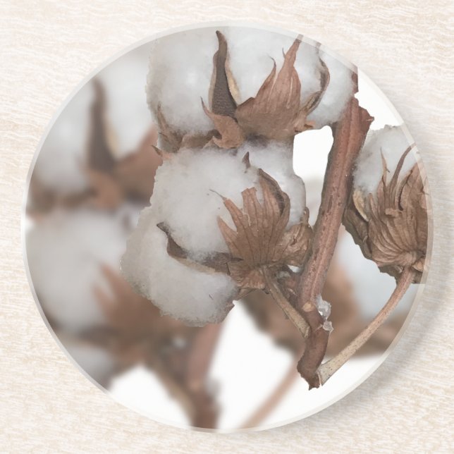 Porta-copos Segundo aniversário da fábrica de algodão (Frente)