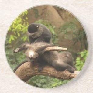 Porta-copos Série Animal — Macaco Procurando Fleas