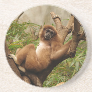 Porta-copos Série Animal — Macaco Reclinante