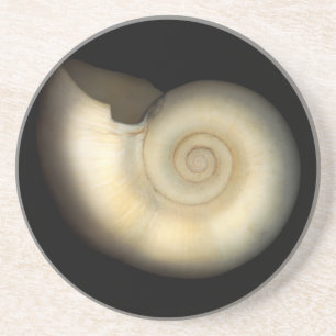 Porta-copos Shell - concologia - nautilus