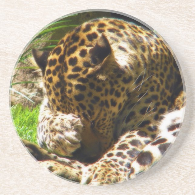 Porta-copos Shy Leopard (Frente)