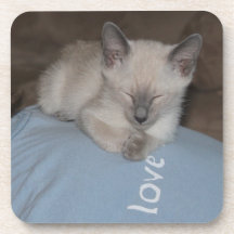 Porta copos Siamese do gatinho