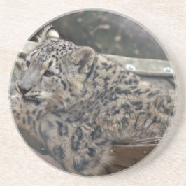 Porta-copos Snow Lepard